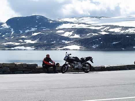 Yamaha fz6 s fazer SOLGT!!!!! - Norge for krop og sjæl billede 6