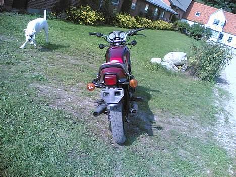 Yamaha RD 350  billede 4