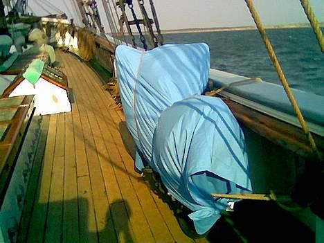 Kawasaki ER 5 (Solgt) - så var motorcyklen ombord på skibet Activ, den tilbagelagde ca. 250 sømil, som den første motorcykel på det skib. billede 13