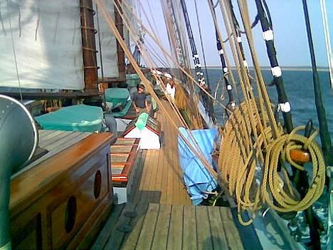 Kawasaki ER 5 (Solgt) - Activ er en 3-mastet Skonnert. 42 meter langt og 30 meter højt. billede 14