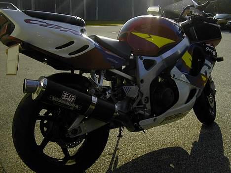 Honda CBR900RR FireBlade SOLGT - Lidt modlys billede 13