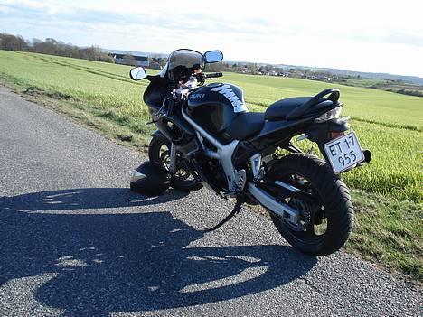 Suzuki sv 650s *solgt* billede 2
