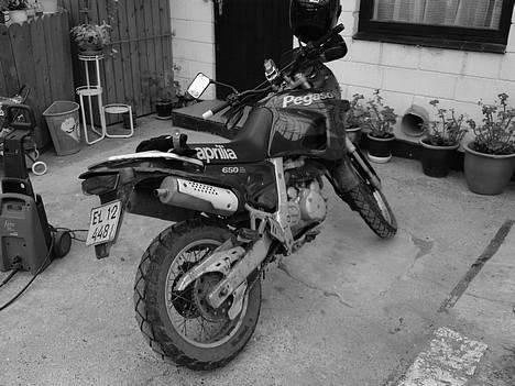 Aprilia Pegaso 650 - I sort billede 1