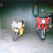 Suzuki GS/GSXR (Tweety)