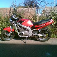 Suzuki gs500 (SOLGT)