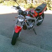 Suzuki gs500 (SOLGT)