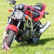 Suzuki SV 1000 N