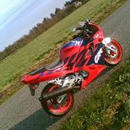 Honda CBR 600