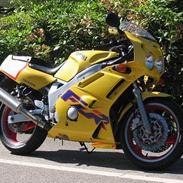 Yamaha FZR 600 RG *US*