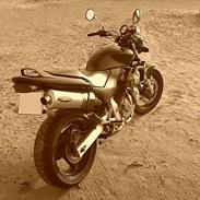 Honda CB 600F Hornet