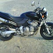 Honda CB 600F Hornet