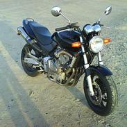 Honda CB 600F Hornet