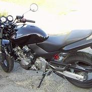 Honda CB 600F Hornet