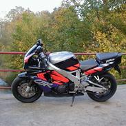 Honda CBR 900 RR Fireblade