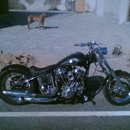 Harley Davidson stivstel