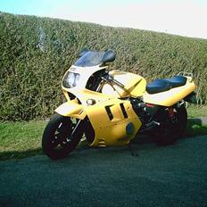 Suzuki GS/GSXR (Tweety)