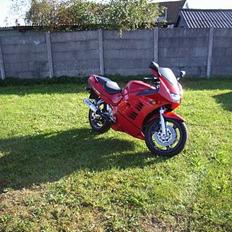 Suzuki RF 600 R