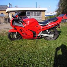 Suzuki RF 600 R