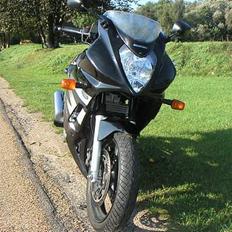 Suzuki GS500F