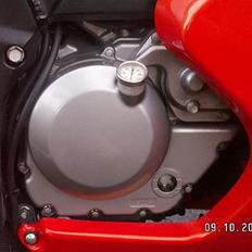 Suzuki SV650S BI-XENON SOLGT