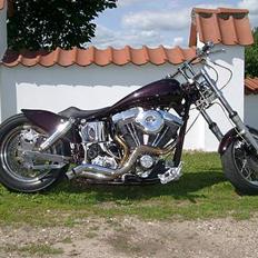 Harley Davidson Svingstel