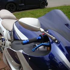 Suzuki Hayabusa (Brutalis)