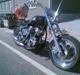 Harley Davidson stivstel
