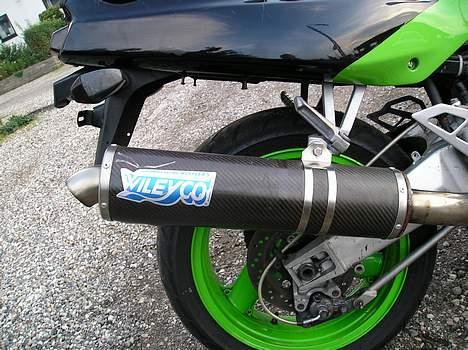 Kawasaki ZXR  - cabon potte (DB) bræber billede 8