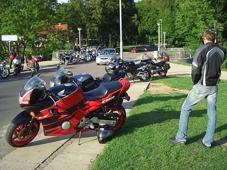 Honda cbr 600  billede 17