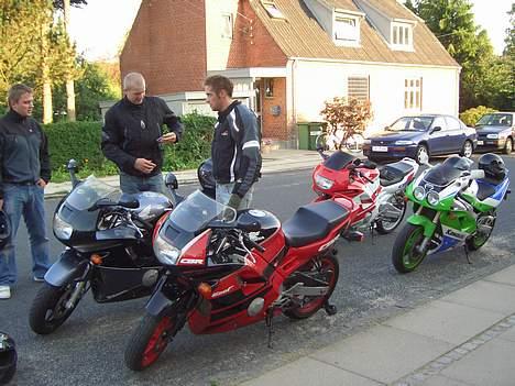 Honda cbr 600  billede 18