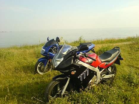 Suzuki Gs 500E SOLGT billede 5