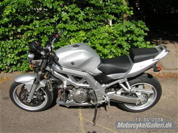 Suzuki SV 1000 N billede 1