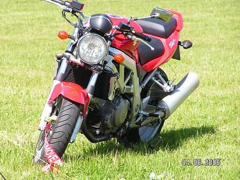 Suzuki SV 1000 N billede 2