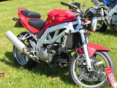 Suzuki SV 1000 N billede 3