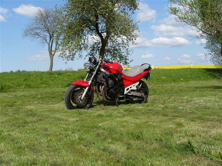 Suzuki Gsx 600 F billede 1