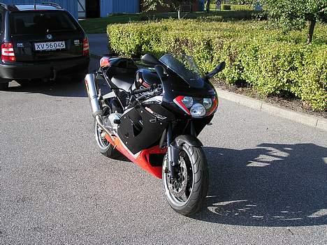 Aprilia Rsv Mille billede 3