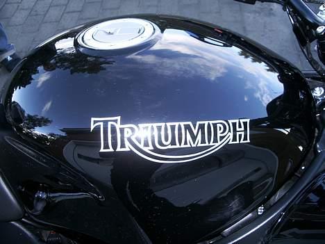 Triumph speed four *solgt* billede 12
