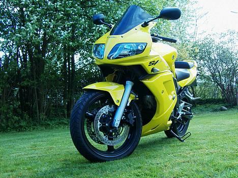 Suzuki sv 1000 sk7  - Solgt efterår 2007 billede 2