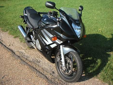 Suzuki GS500F billede 6