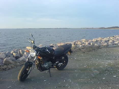 Suzuki GS 500 K4 - Sådan ser den ud på havnen i Knebelvig billede 1