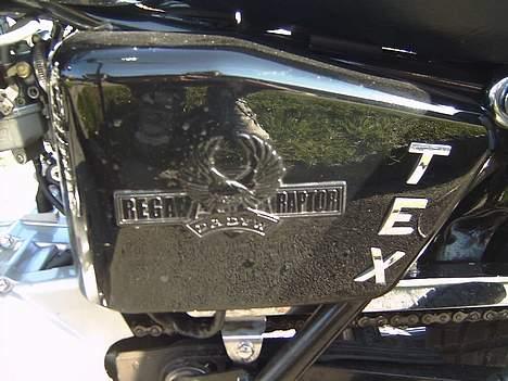 Regal Raptor DD150E - TEX´ cykel hehe billede 4