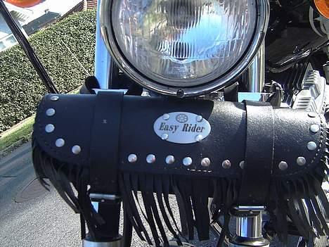 Regal Raptor DD150E - fuldgyldigt medlem af "Easyrider" gruppen ... billede 6