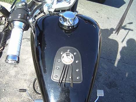 Regal Raptor DD150E - tankpad og det fedeste tankdæksel billede 8