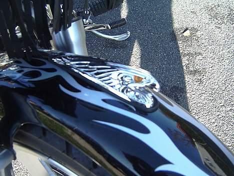 Regal Raptor DD150E - ørnen på forskærmen ... :P billede 9