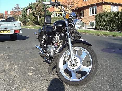 Regal Raptor DD150E - endnu en fed vinkel... billede 10