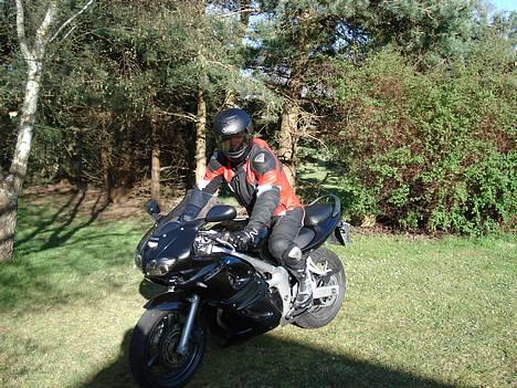 Suzuki sv 650s *solgt* billede 11