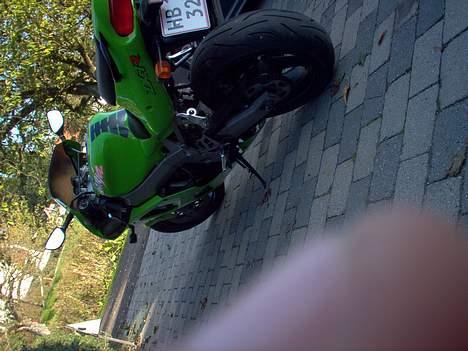 Kawasaki zx7r ninja billede 6