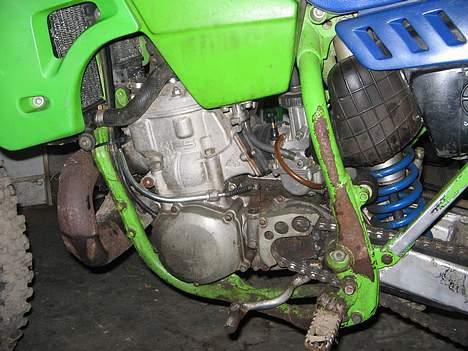 Kawasaki KX250 billede 2