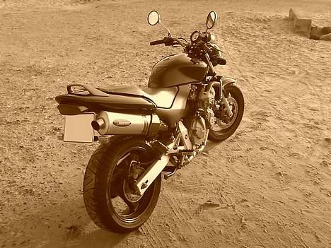 Honda CB 600F Hornet - Billede taget i Blokhus billede 1