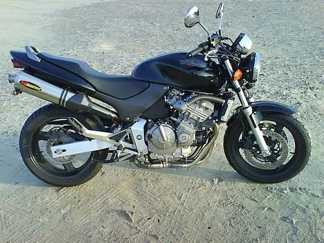 Honda CB 600F Hornet - Billede taget i Blokhus billede 2